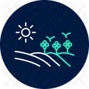 Field With Flowers Field Flowers Icon