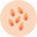 Flower Petals  Icon