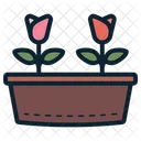 Flowers Tulip Pot Icon