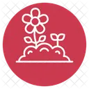 Flowers Flower Nature Icon