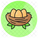 Nest Eggs Birds Icon