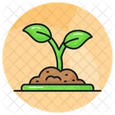 Plant Sprout Farming Icon